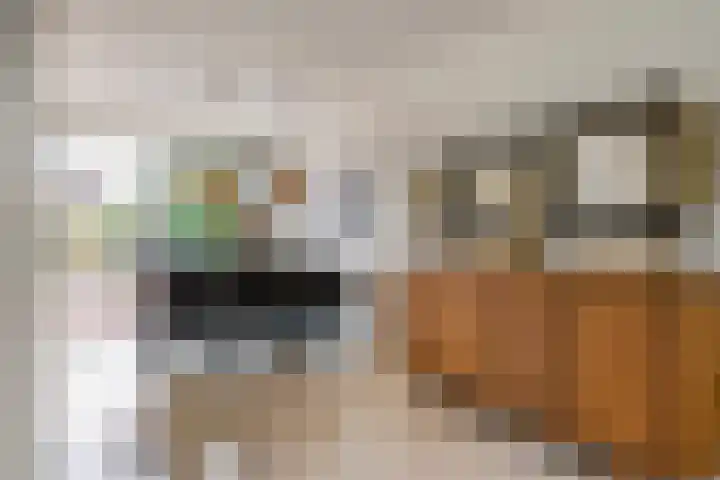 Roodhekkenpas 89 Druten thumbnail 8