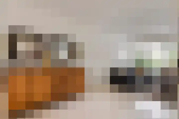 Roodhekkenpas 89 Druten thumbnail 9