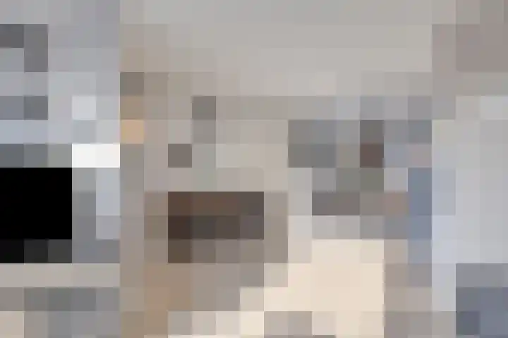 Roodkapje 108 Eindhoven thumbnail 12