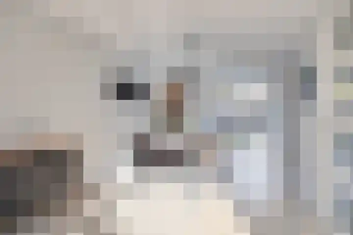 Roodkapje 108 Eindhoven thumbnail 13