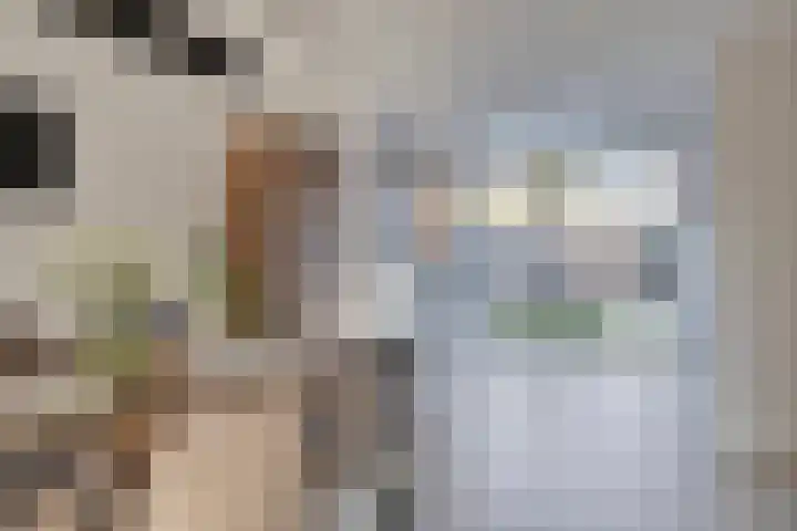 Roodkapje 108 Eindhoven thumbnail 15