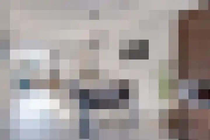 Roodkapje 108 Eindhoven thumbnail 16