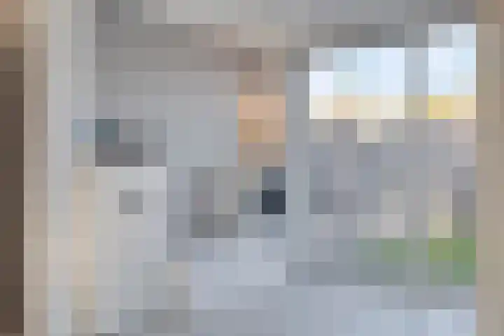 Roodkapje 108 Eindhoven thumbnail 18