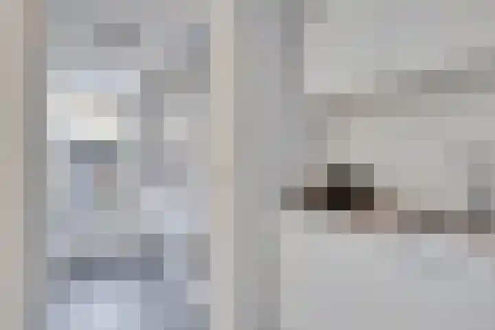 Roodkapje 108 Eindhoven thumbnail 24