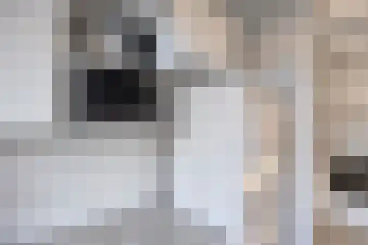 Roodkapje 108 Eindhoven thumbnail 26
