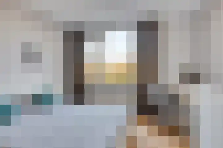 Roodkapje 108 Eindhoven thumbnail 30