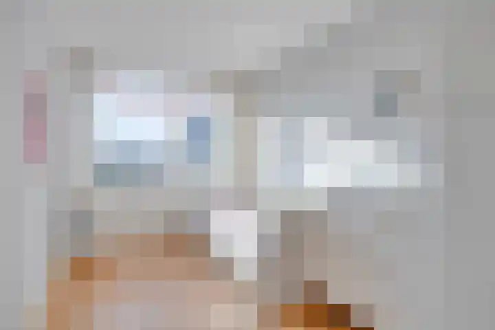 Roodkapje 108 Eindhoven thumbnail 35