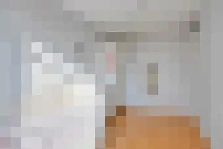 Roodkapje 108 Eindhoven thumbnail 36