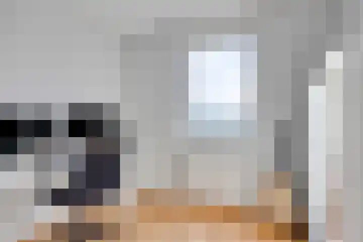 Roodkapje 108 Eindhoven thumbnail 37