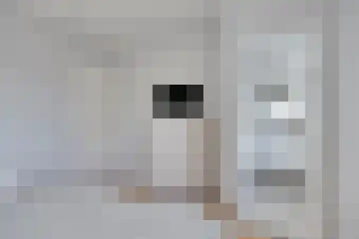 Roodkapje 108 Eindhoven thumbnail 41