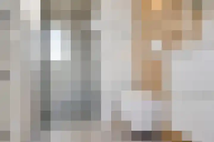 Roodkapje 108 Eindhoven thumbnail 42