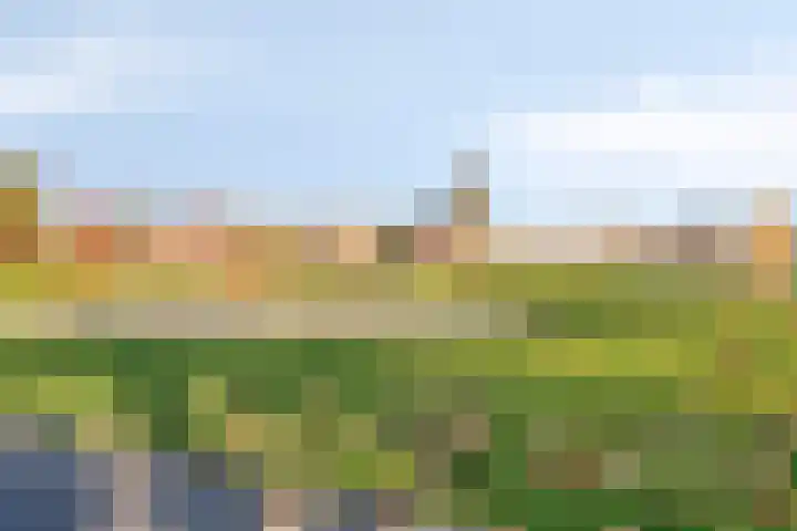 Roodkapje 108 Eindhoven thumbnail 51