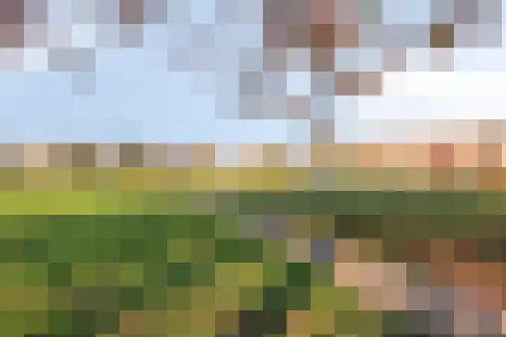 Roodkapje 108 Eindhoven thumbnail 52