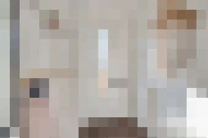 Roodkapje 108 Eindhoven thumbnail 7