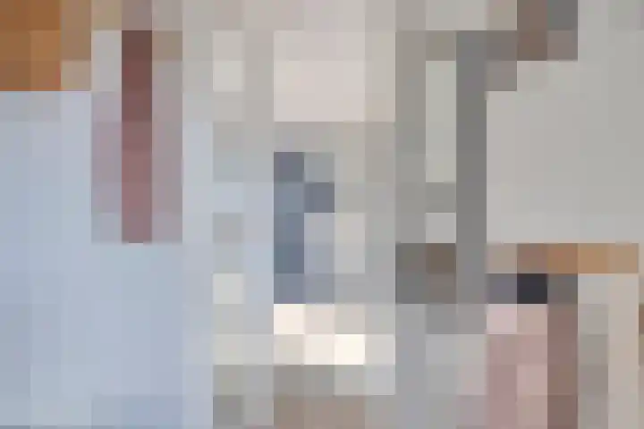 Roodkapje 108 Eindhoven thumbnail 8