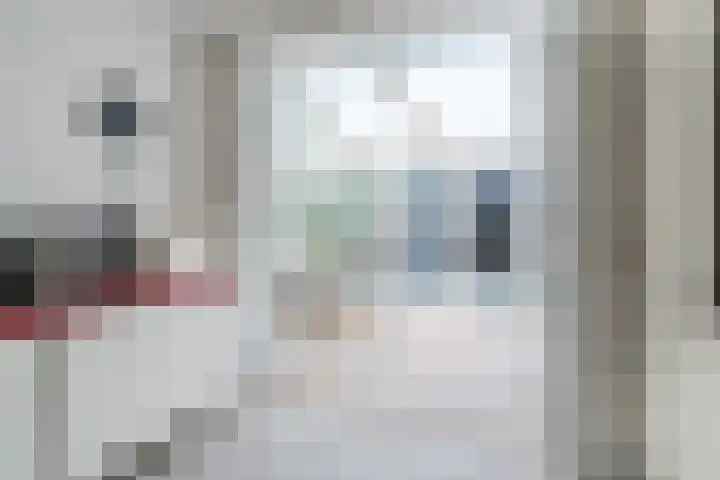 Roodkapje 2 Eindhoven thumbnail 11