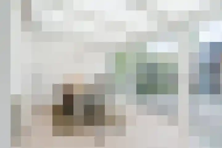 Roodkapje 2 Eindhoven thumbnail 13