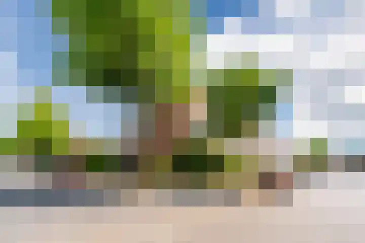 Roodkapje 2 Eindhoven thumbnail 33