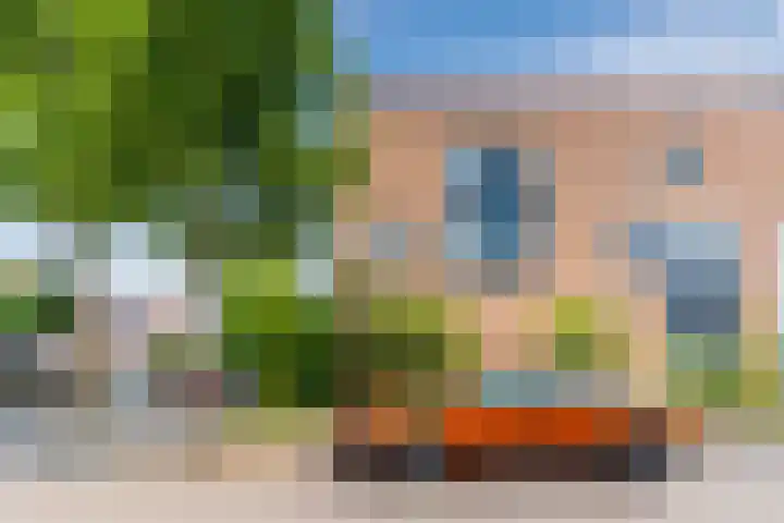 Roodkapje 2 Eindhoven thumbnail 4