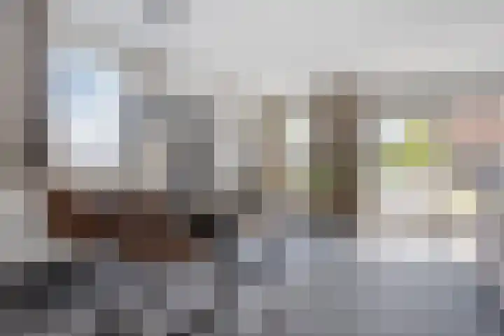 Roodkapje 25 Eindhoven thumbnail 11