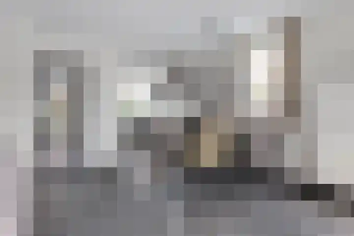 Roodkapje 25 Eindhoven thumbnail 12