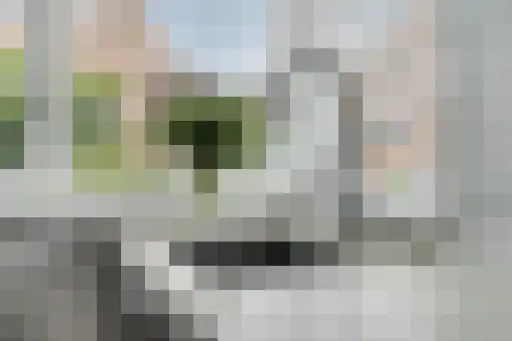 Roodkapje 25 Eindhoven thumbnail 15