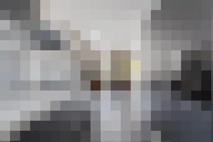Roodkapje 25 Eindhoven thumbnail 16