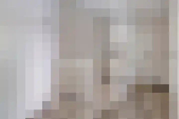 Roodkapje 25 Eindhoven thumbnail 19