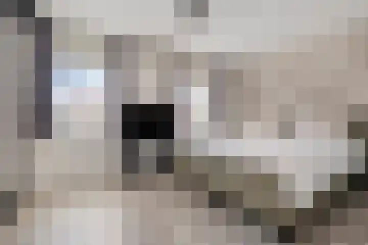 Roodkapje 25 Eindhoven thumbnail 20