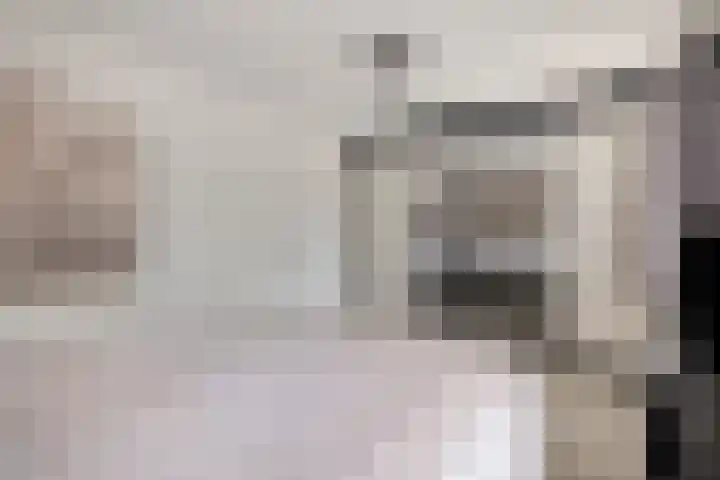 Roodkapje 25 Eindhoven thumbnail 21