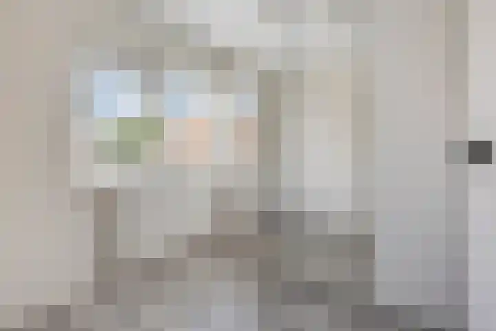 Roodkapje 25 Eindhoven thumbnail 23