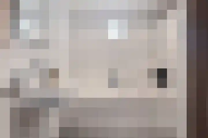 Roodkapje 25 Eindhoven thumbnail 25