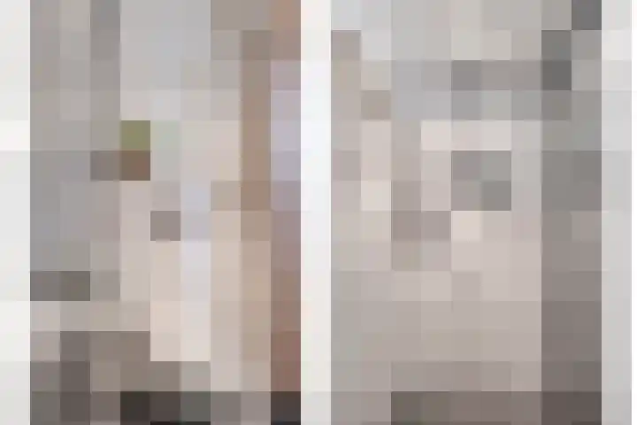 Roodkapje 25 Eindhoven thumbnail 26