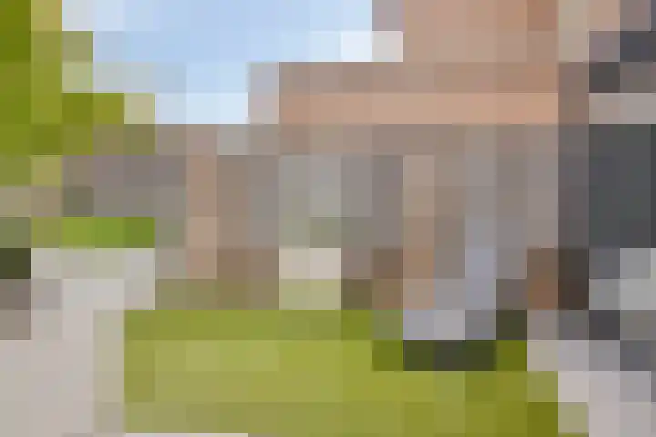 Roodkapje 25 Eindhoven thumbnail 30