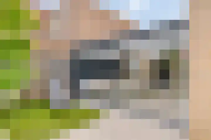 Roodkapje 25 Eindhoven thumbnail 31