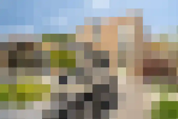 Roodkapje 25 Eindhoven thumbnail 34