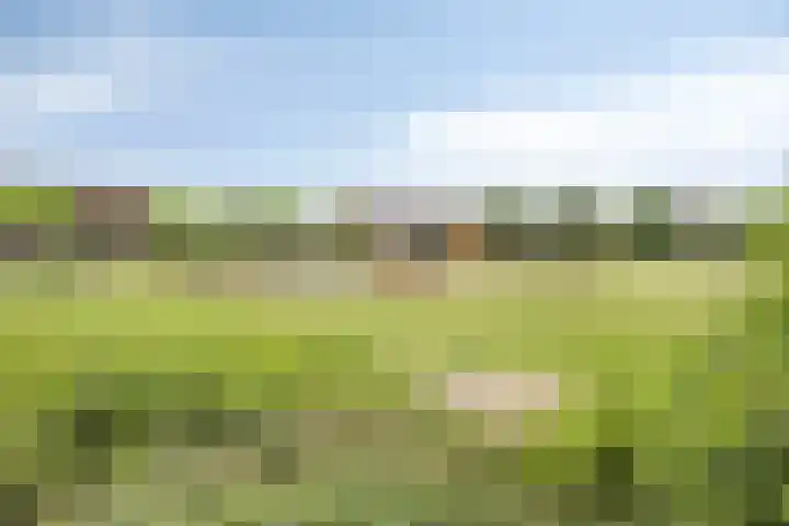 Roodkapje 25 Eindhoven thumbnail 36