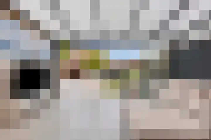Roodkapje 25 Eindhoven thumbnail 5