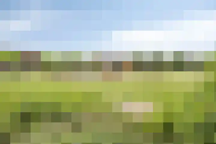 Roodkapje 25 Eindhoven thumbnail 6
