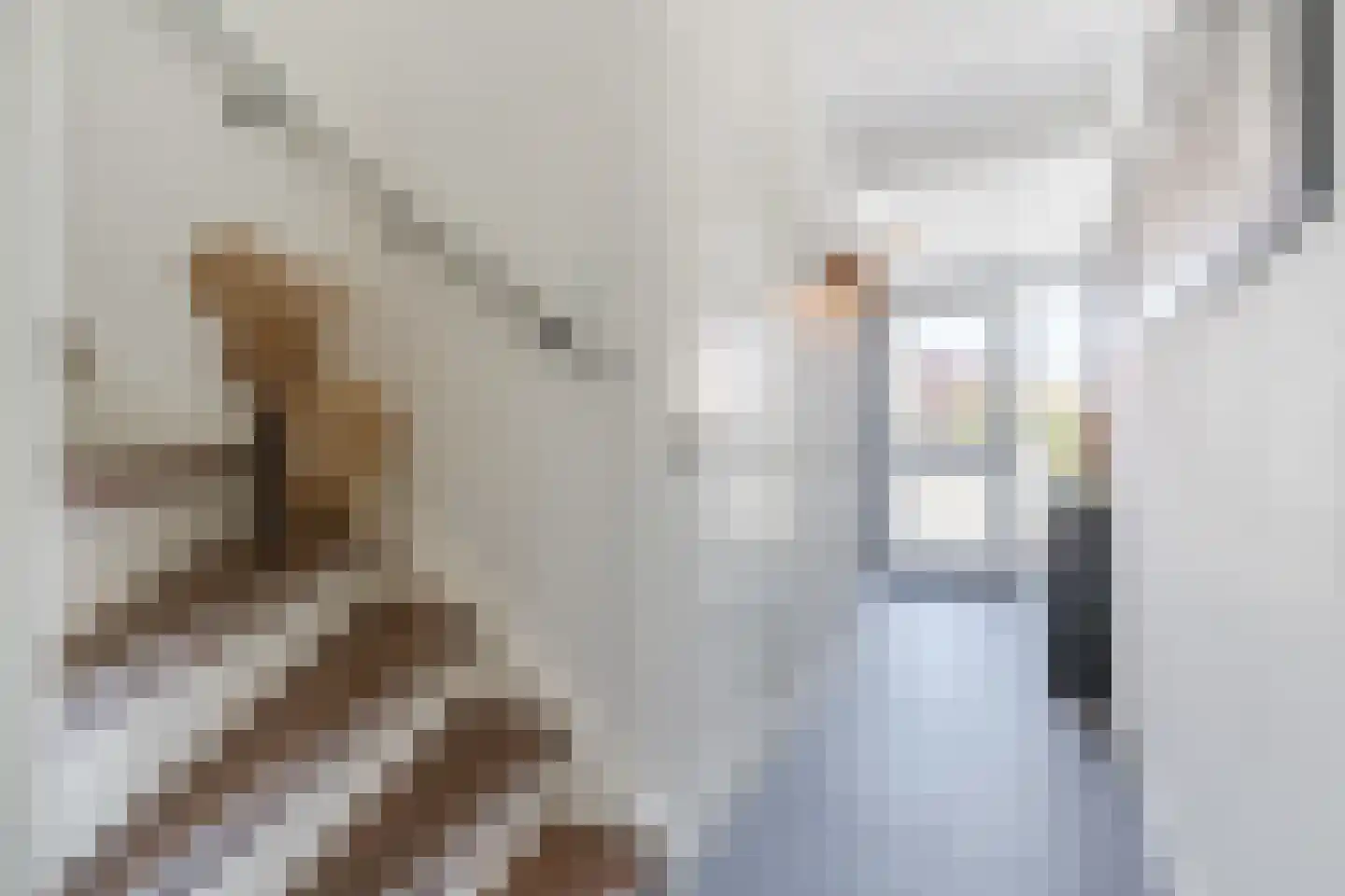 Roodkapje 27 Eindhoven thumbnail 17