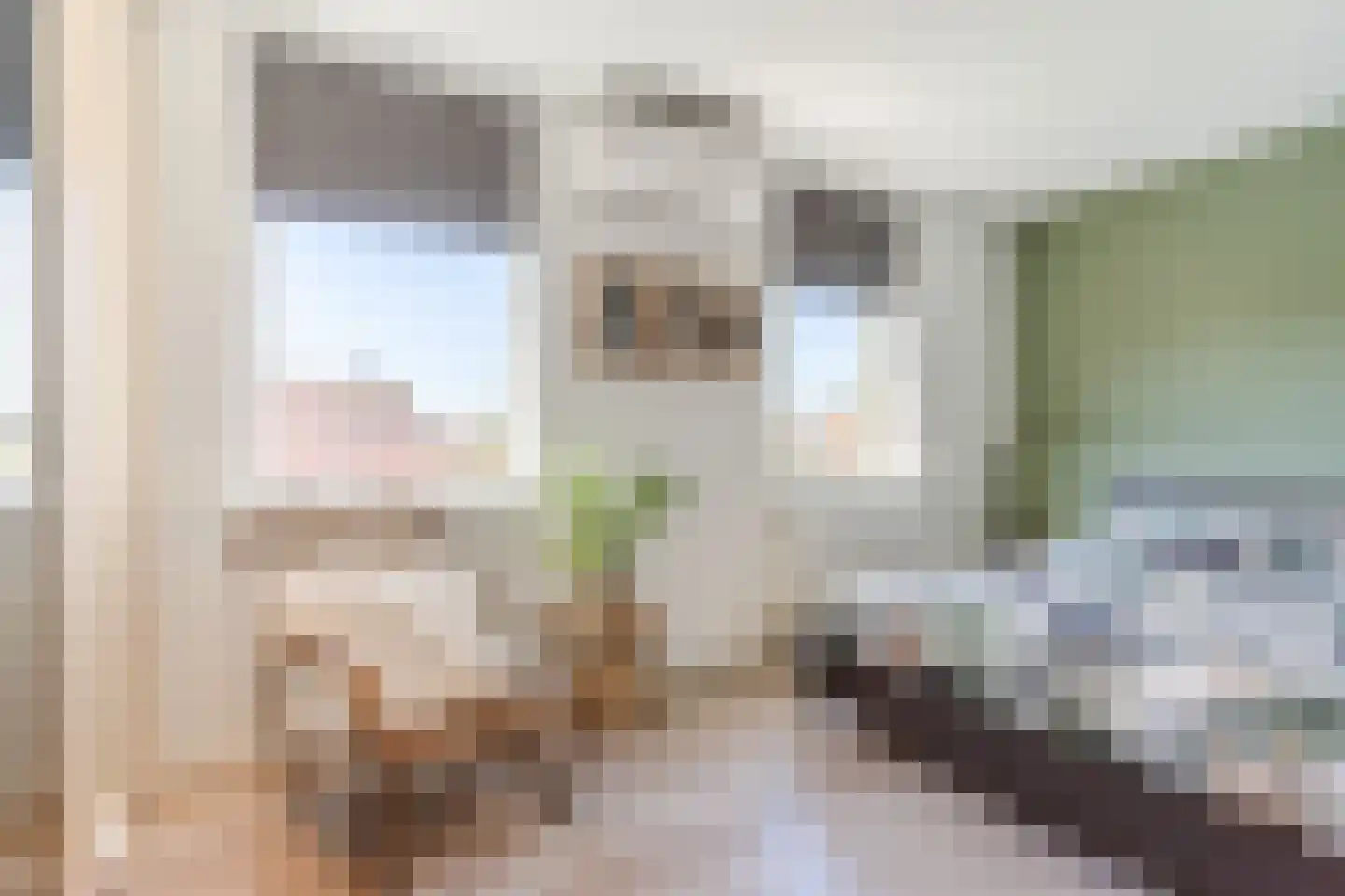 Roodkapje 27 Eindhoven thumbnail 22