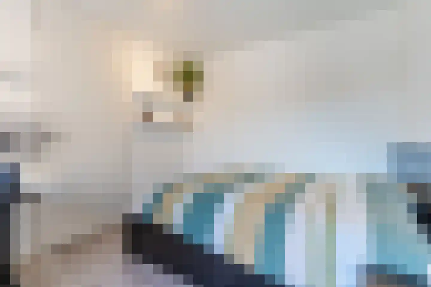 Roodkapje 27 Eindhoven thumbnail 29