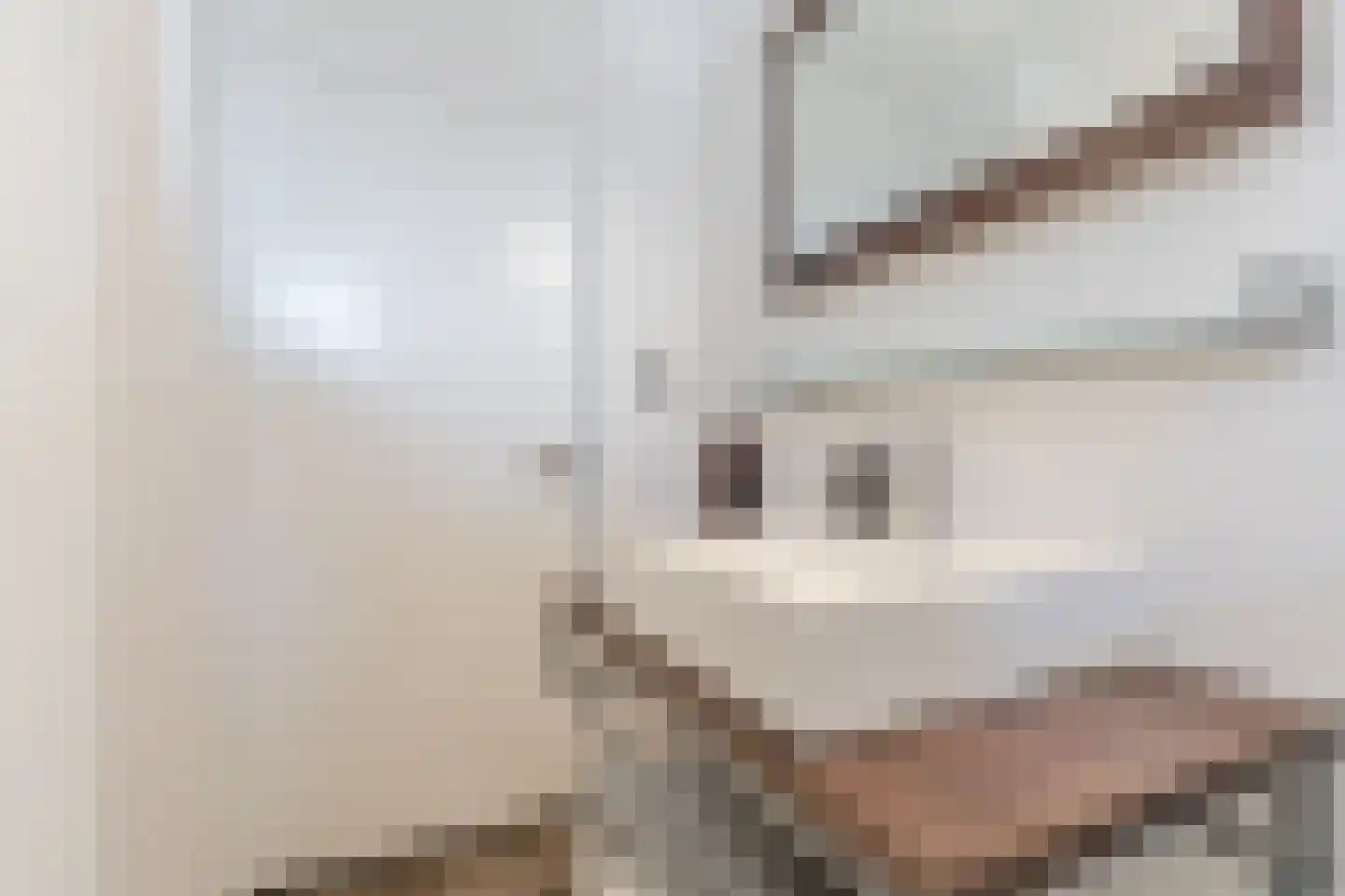 Roodkapje 27 Eindhoven thumbnail 37