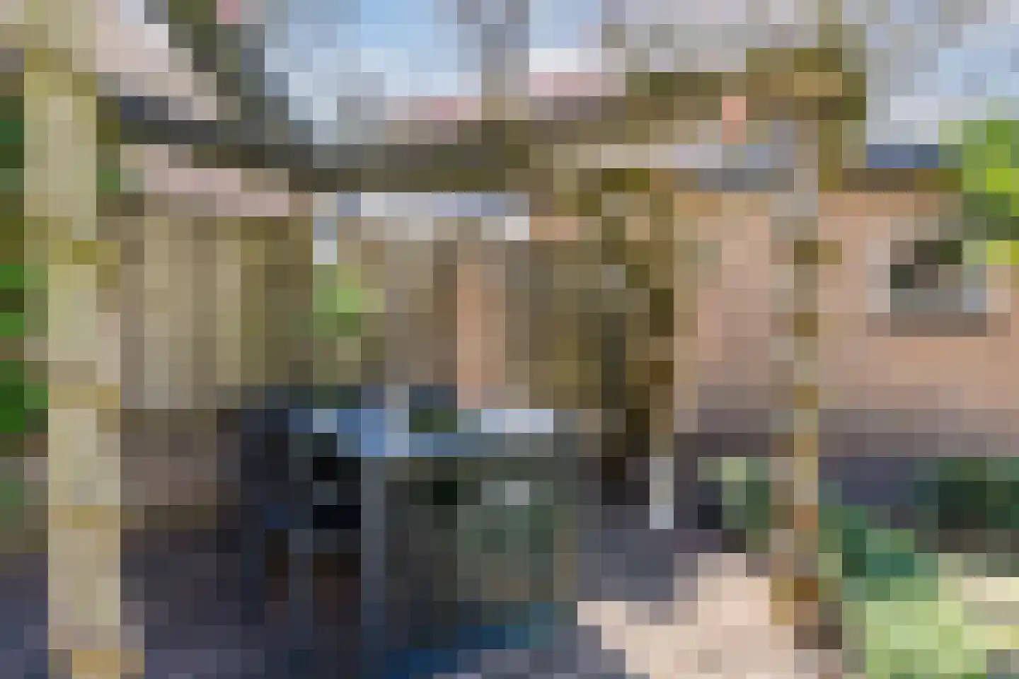 Roodkapje 27 Eindhoven thumbnail 49