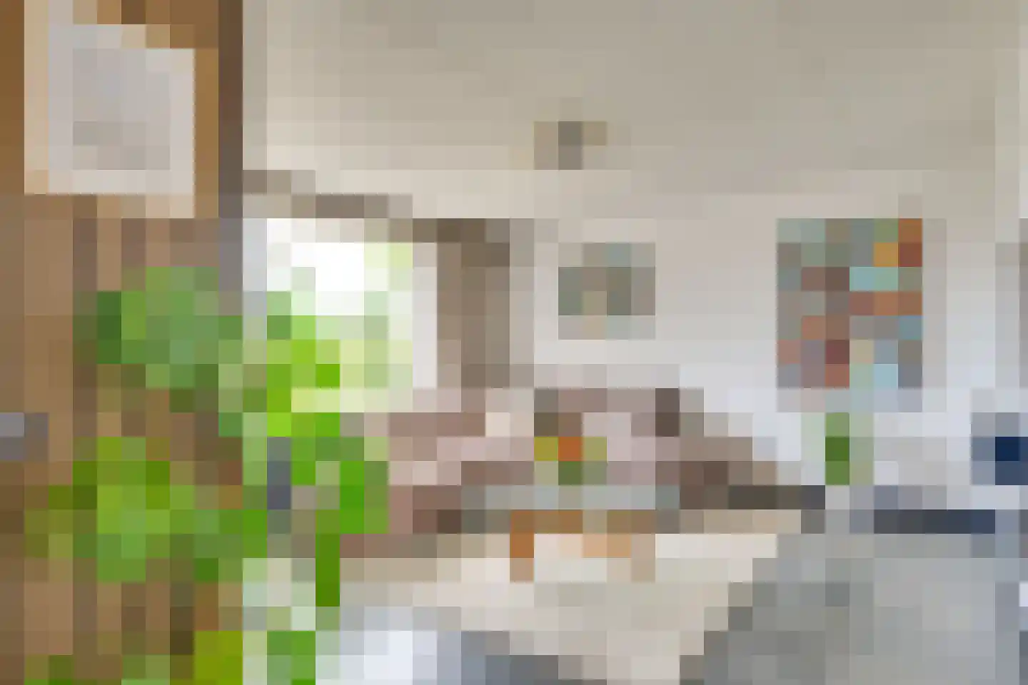 Roodkapje 76 Eindhoven thumbnail 13