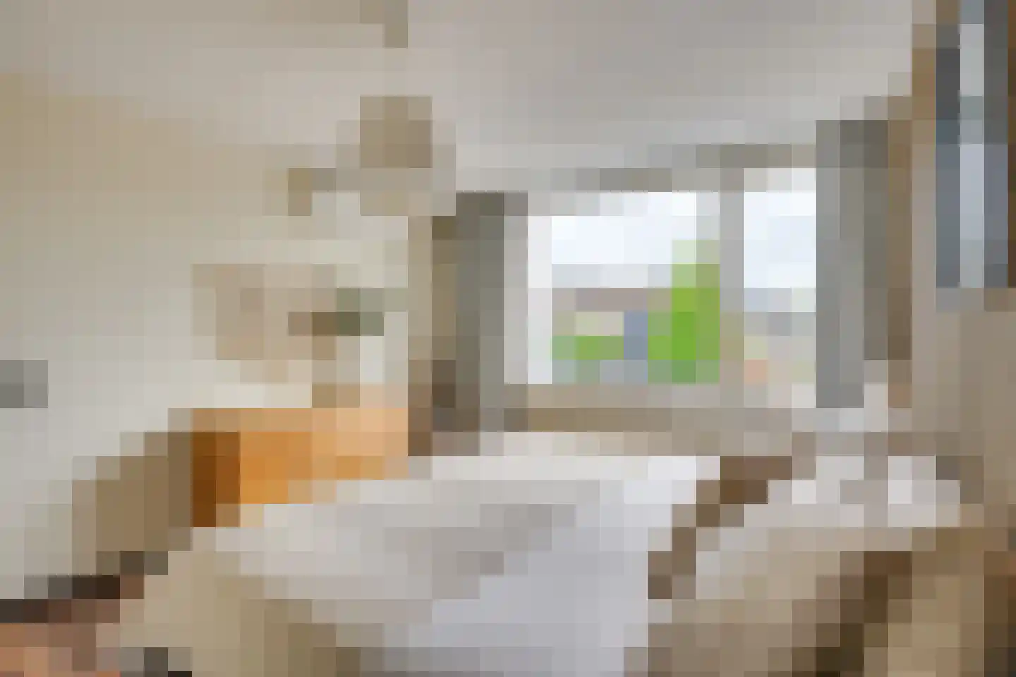 Roodkapje 76 Eindhoven thumbnail 25