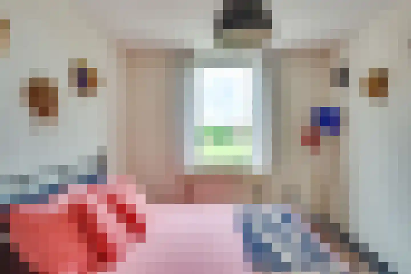 Roodkapje 76 Eindhoven thumbnail 28