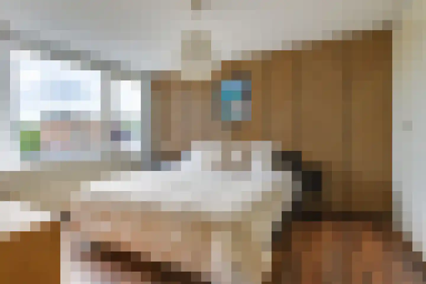 Roodkapje 76 Eindhoven thumbnail 4