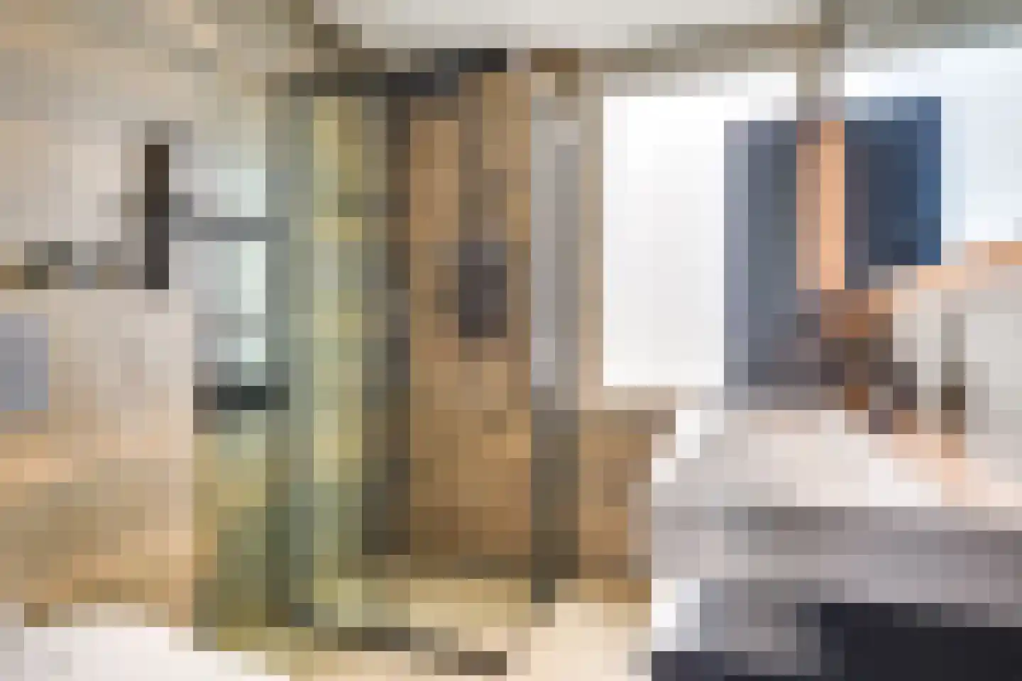 Roodkapje 76 Eindhoven thumbnail 5