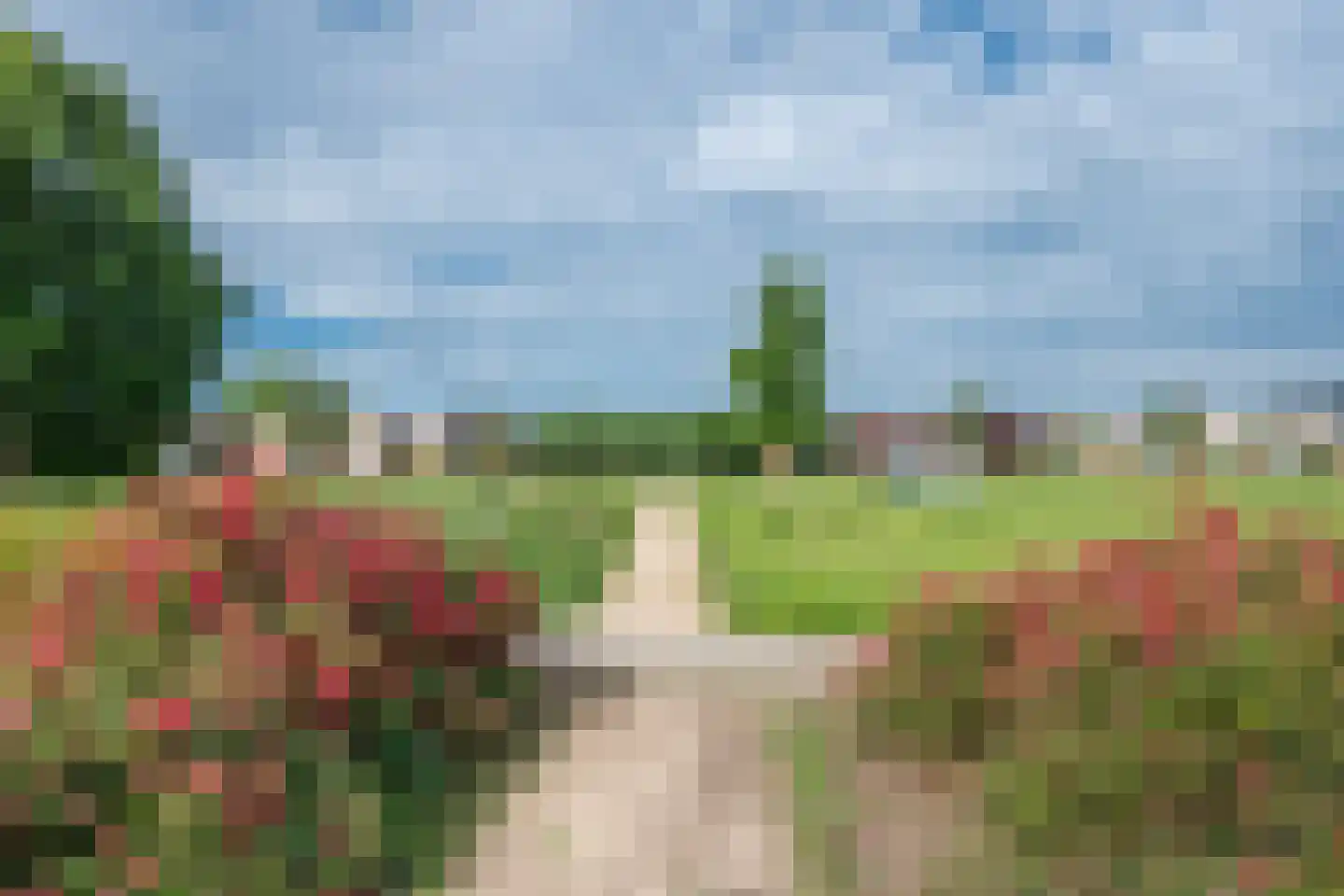 Roodkapje 76 Eindhoven thumbnail 9